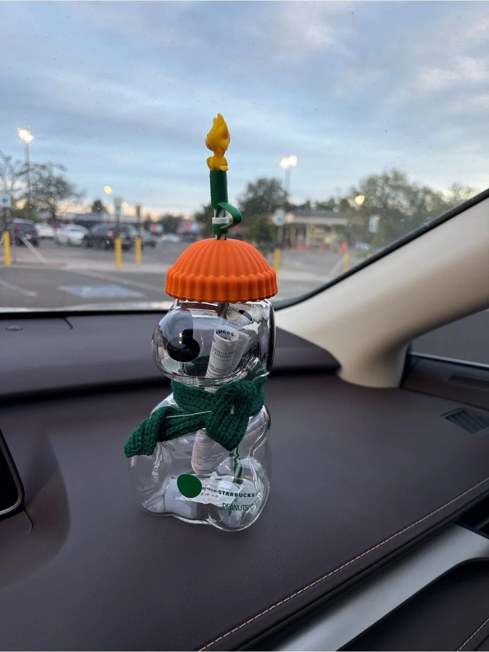 Starbucks x Peanuts Snoopy Winter Drink Tumbler - Orange Hat, Green Scarf